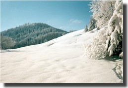 1999 Schneeschuhtour am «Morgarten»